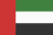 UAE 리그