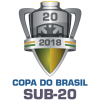 U20 브라질컵