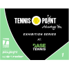 시범경기 테니스 포인트 엑지비션 시리즈